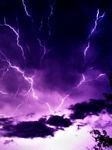 pic for Violet Lightening